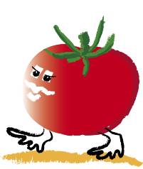 Tomate